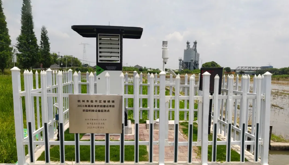 聽(tīng)說(shuō)，現(xiàn)在流行這樣種田