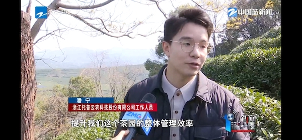 春茶開采正當(dāng)時(shí)！揭秘托普云農(nóng)如何用科技“制”出一杯數(shù)字好茶