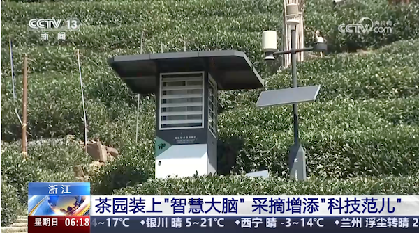 央視、人民網(wǎng)等權(quán)威媒體聚焦西湖龍井：托普云農(nóng)“黑科技”點(diǎn)亮千年茶香智變之路