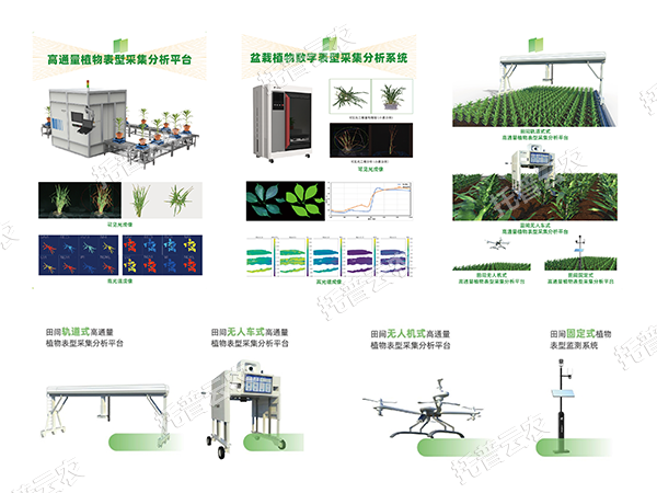 AI+農(nóng)業(yè)新突破！托普高通量植物表型智能分析平臺(tái)助力智慧農(nóng)業(yè)創(chuàng)新發(fā)展